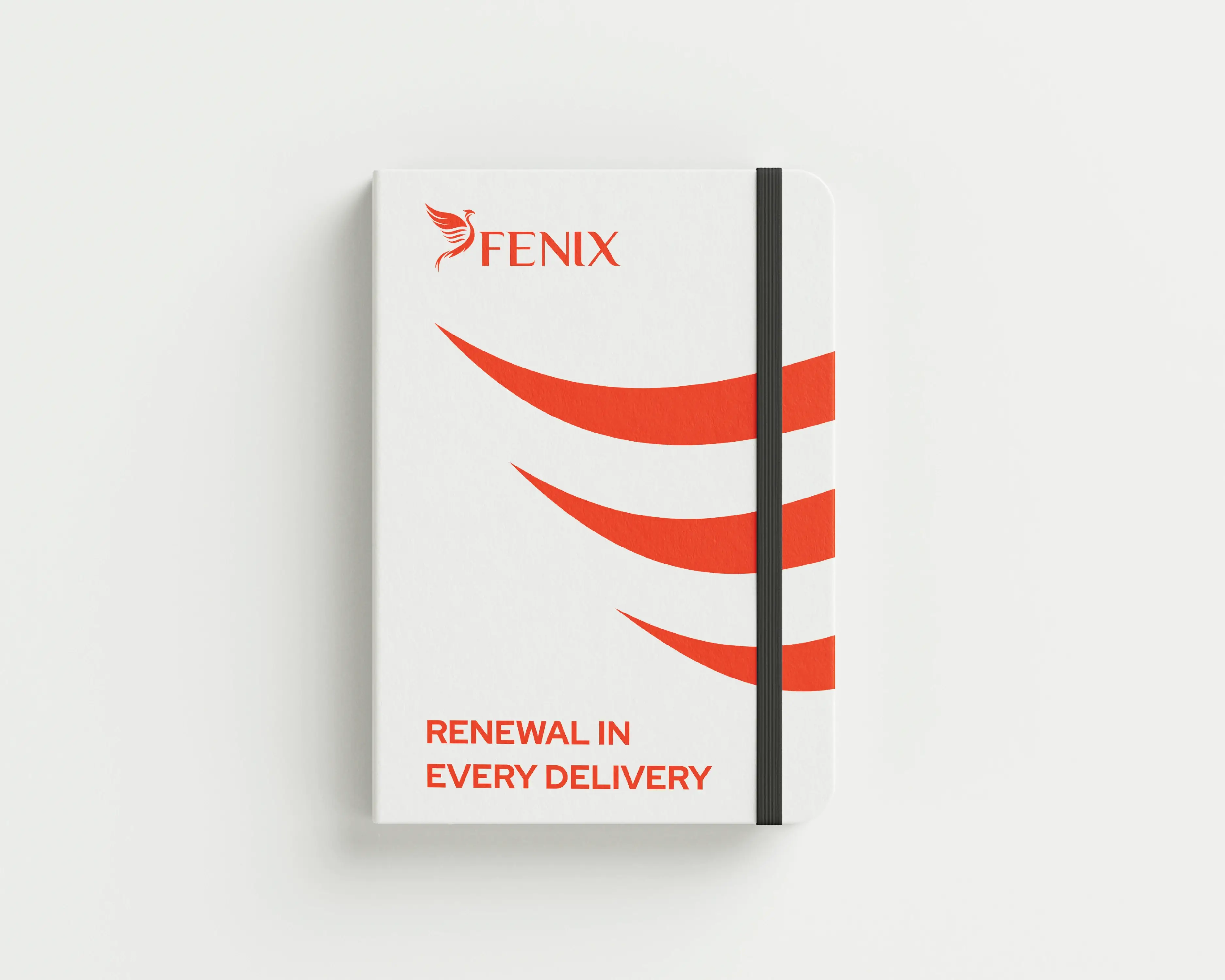 Fenix Project Image 7